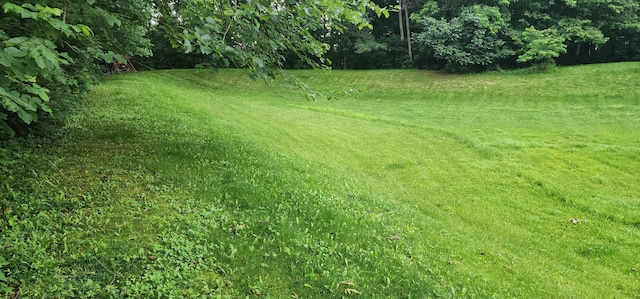 19 Ravine View Ct, Pataskala, OH 43062 - view of green lawn