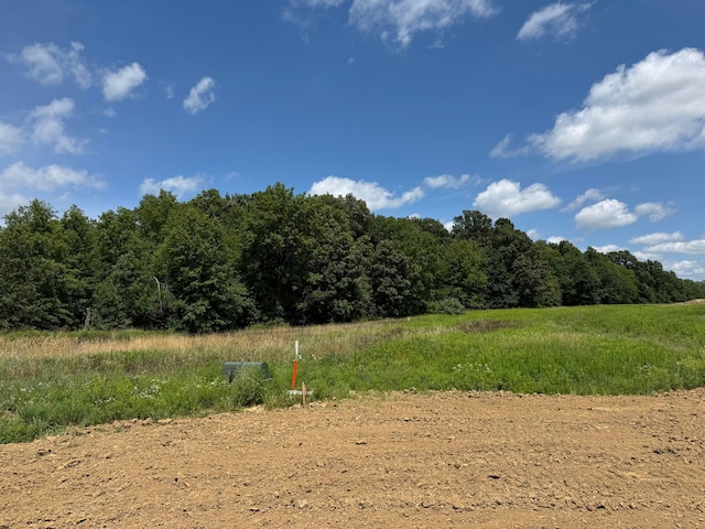 9720 Glenfield Ave Lot 60, Plain City, OH 43064 - photo 40