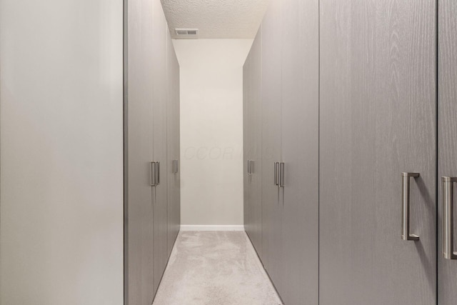 3031 Sinatra Way, Powell, OH 43065 - hall featuring carpet floors and a textured ceiling