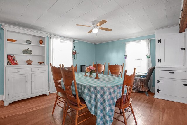 103 N Water St, Williamsport, OH 43164 - photo 16
