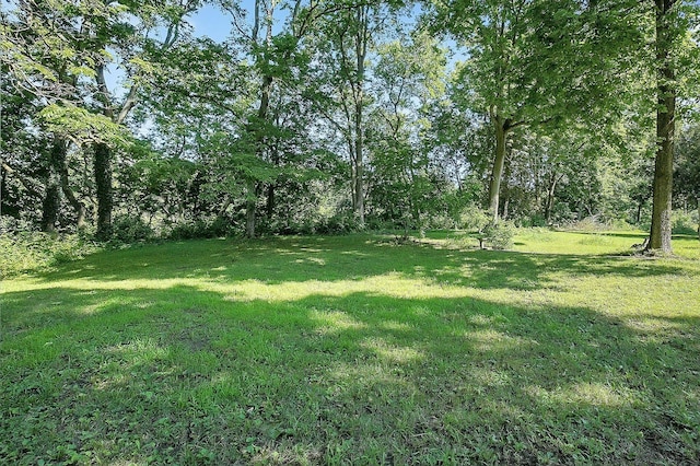 103 N Water St, Williamsport, OH 43164 - photo 62