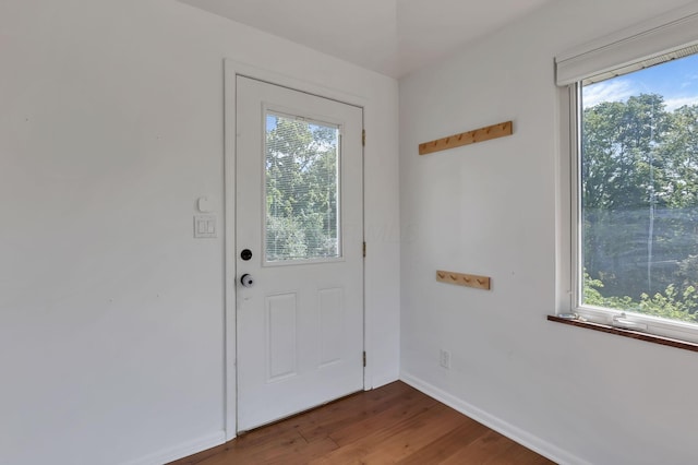 7688 State Route 257, Prospect, OH 43342 - entryway with wood finished floors and baseboards