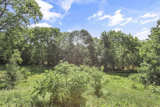 7688 State Route 257, Prospect, OH 43342 - view of tree filled area