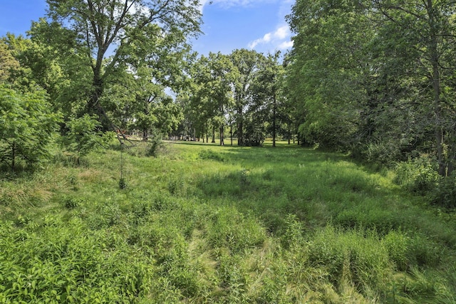 7688 State Route 257, Prospect, OH 43342 - view of undeveloped land