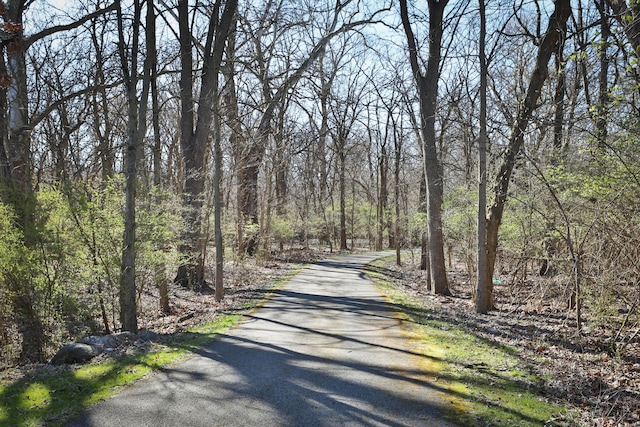 1852 Meadowlawn Dr, Columbus, OH 43219 - view of street with a forest view