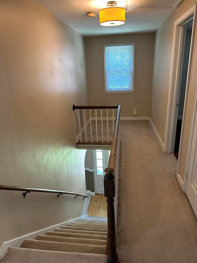 402 Roseland Ave E, Springfield, OH 45503 - photo 15