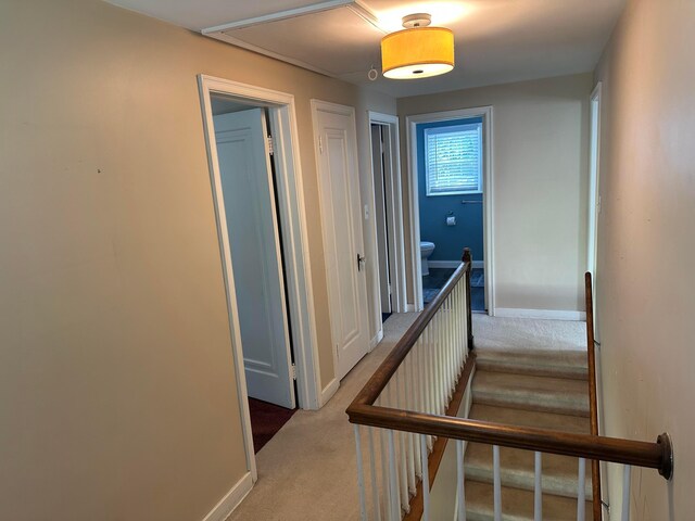 402 Roseland Ave E, Springfield, OH 45503 - photo 26