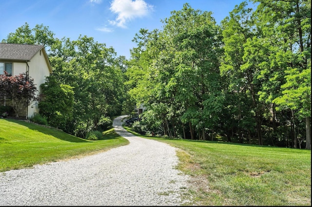 96 Executive Ct Unit B, Westerville, OH 43081 - view of dirt / gravel driveway