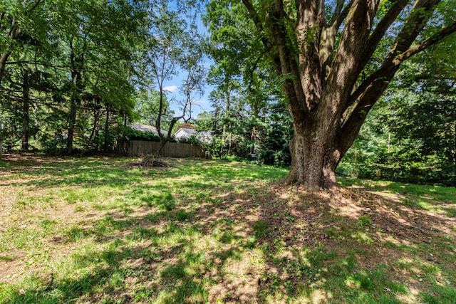 206 Lintner St, Columbus, OH 43230 - view of yard