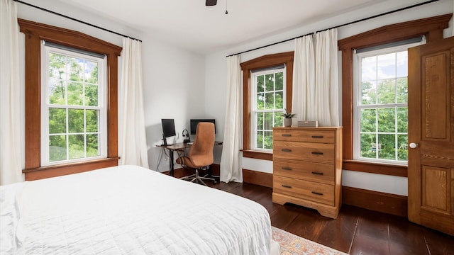 5377 Moots Run Rd, Alexandria, OH 43001 - bedroom featuring dark wood finished floors and multiple windows