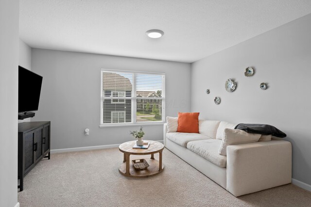 9216 Shadwick Way, Blacklick, OH 43004 - photo 30
