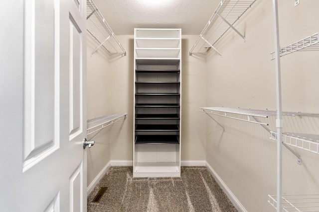 4884 Alston Grove Dr, Westerville, OH 43082 - walk in closet with carpet