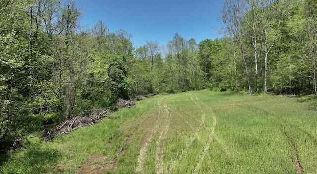 0 Will Vance Rd Lot # 2, Langsville, OH 45741 - photo 2