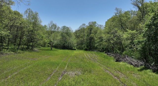 0 Will Vance Rd Lot # 2, Langsville, OH 45741 - photo 3