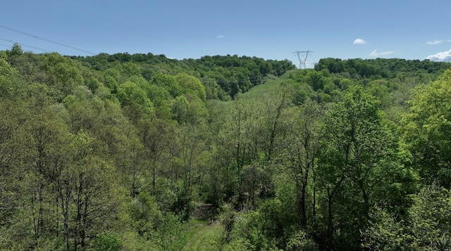 0 Will Vance Rd Lot # 2, Langsville, OH 45741 - photo 4