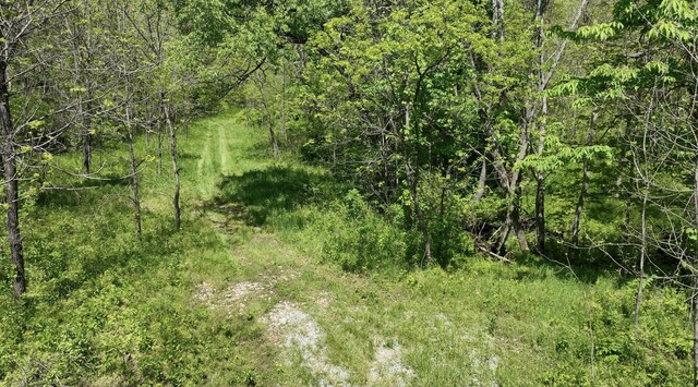 0 Will Vance Rd Lot # 2, Langsville, OH 45741 - photo 5
