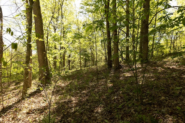 0 Will Vance Rd Lot # 2, Langsville, OH 45741 - photo 7