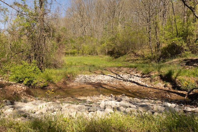 0 Will Vance Rd Lot # 2, Langsville, OH 45741 - photo 9