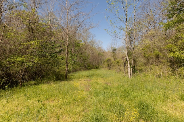 0 Will Vance Rd Lot # 2, Langsville, OH 45741 - photo 10