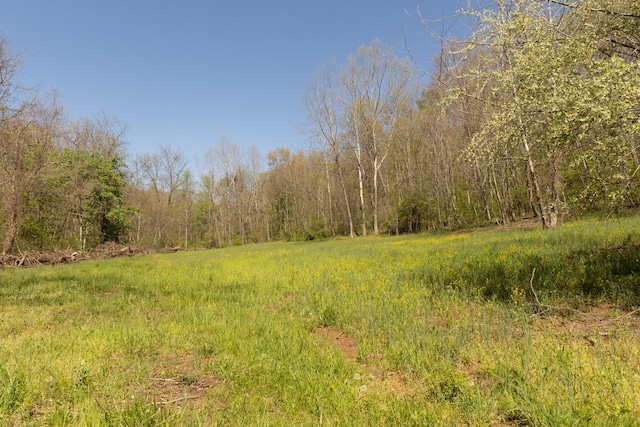 0 Will Vance Rd Lot # 2, Langsville, OH 45741 - photo 12