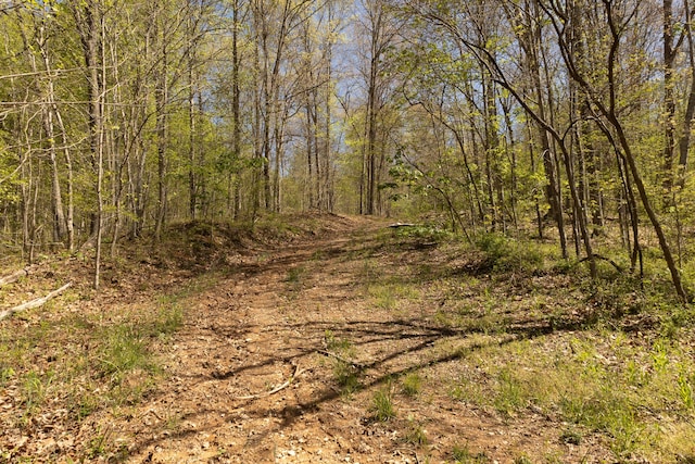 0 Will Vance Rd Lot # 2, Langsville, OH 45741 - photo 15