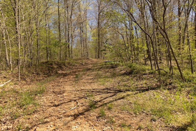 0 Will Vance Rd Lot # 2, Langsville, OH 45741 - photo 16