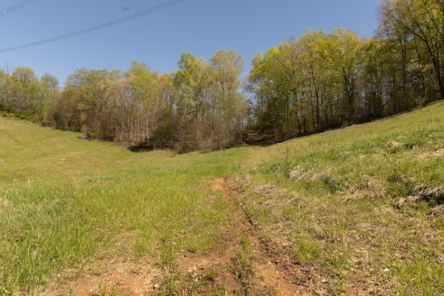 0 Will Vance Rd Lot # 2, Langsville, OH 45741 - photo 19