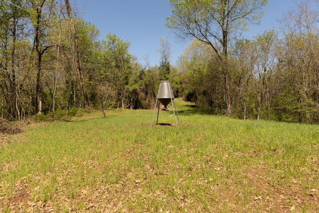 0 Will Vance Rd Lot # 2, Langsville, OH 45741 - photo 20