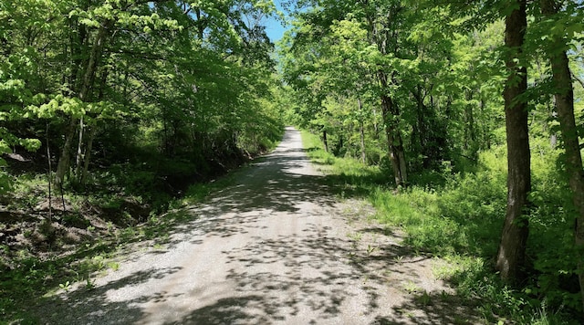 0 Will Vance Rd Lot # 2, Langsville, OH 45741 - photo 22