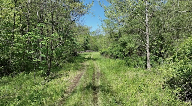0 Will Vance Rd Lot # 2, Langsville, OH 45741 - photo 23