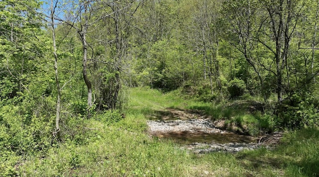0 Will Vance Rd Lot # 2, Langsville, OH 45741 - photo 24