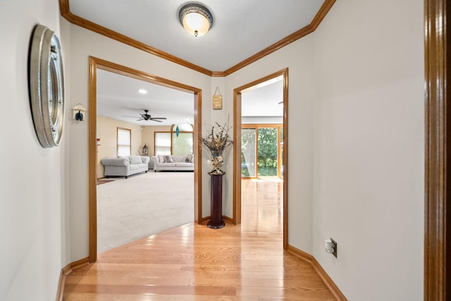 7691 Earlston Ct, Dublin, OH 43017 - photo 23
