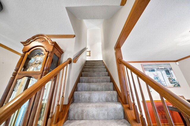 7691 Earlston Ct, Dublin, OH 43017 - photo 35