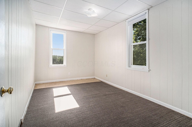 2883 Tucker Rd, Lucas, OH 44843 - unfurnished room with carpet, plenty of natural light, wooden walls, and a paneled ceiling