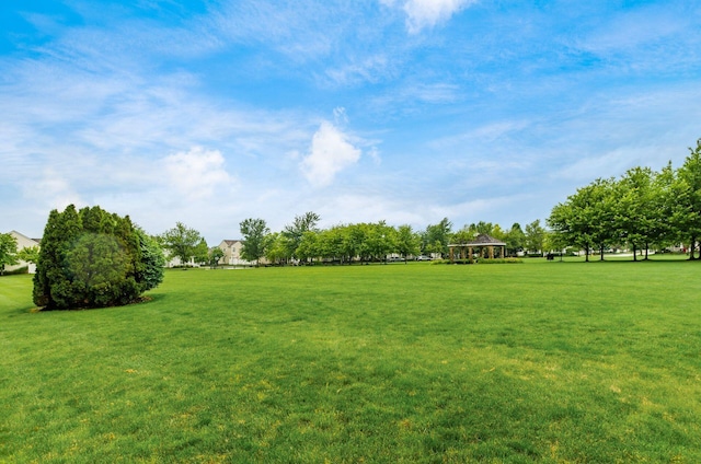 1883 Caplinger Dr, Grove City, OH 43123 - view of grassy yard