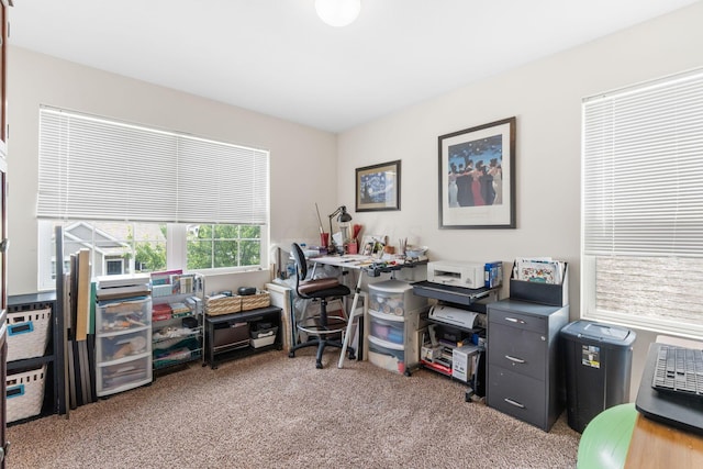 5655 Marshfield Dr, Westerville, OH 43081 - photo 41