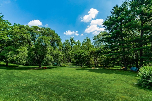 277 Mill Race Rd, Granville, OH 43023 - view of grassy yard