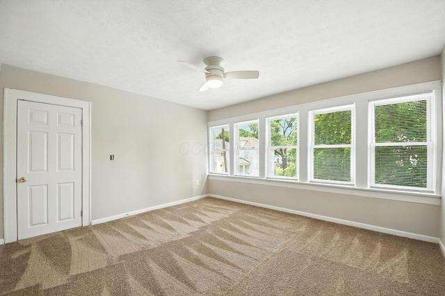 87 N Warren Ave, Columbus, OH 43204 - carpeted empty room with baseboards and a ceiling fan