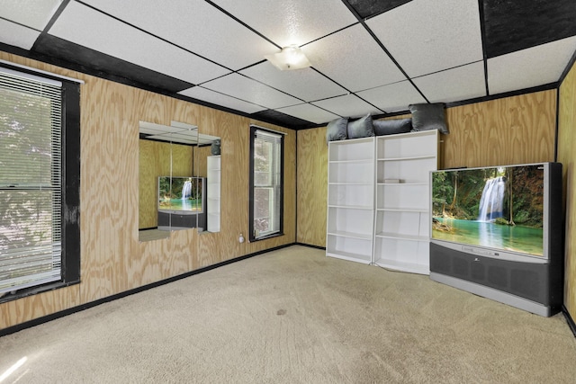 27380 Miller Rd, Rockbridge, OH 43149 - empty room with light colored carpet, wooden walls, and a paneled ceiling