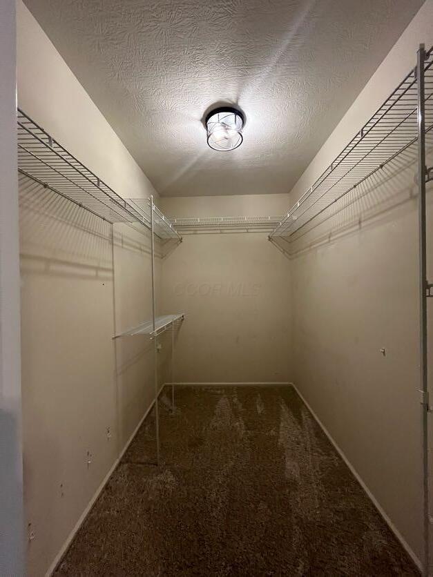 450 Village Ridge Ct, Powell, OH 43065 - spacious closet with carpet floors