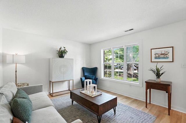 1817 Ibson Dr, Powell, OH 43065 - living room with light wood finished floors and a textured ceiling