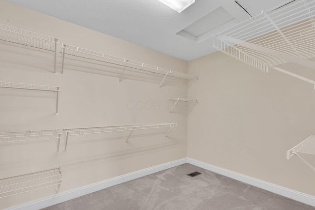 145 Glen Mawr Cir, Delaware, OH 43015 - walk in closet with carpet flooring