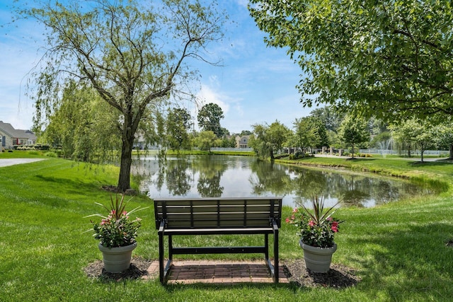 4124 Aumbrey Ct, New Albany, OH 43054 - view of property's community with a water view and a yard