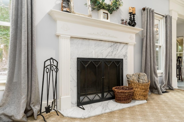1828 Bradford Cir, Newark, OH 43055 - detailed view of a fireplace and carpet