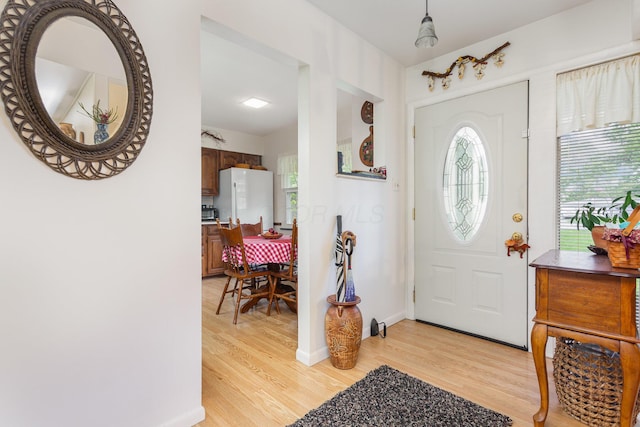 1374 Hanover Ct, Circleville, OH 43113 - foyer entrance with light wood-style floors and baseboards