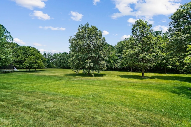8140 Grafton End, Dublin, OH 43016 - photo 105