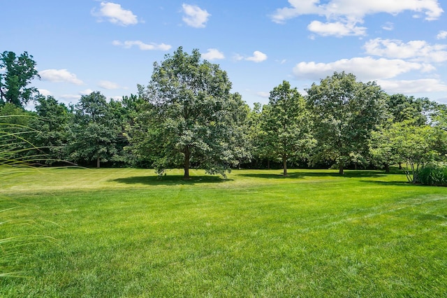 8140 Grafton End, Dublin, OH 43016 - photo 106