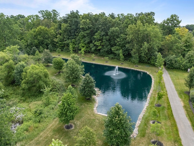 5685 Springburn Dr, Dublin, OH 43017 - photo 56