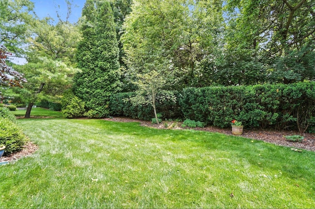 5781 Clearfield Ln, Dublin, OH 43016 - photo 45