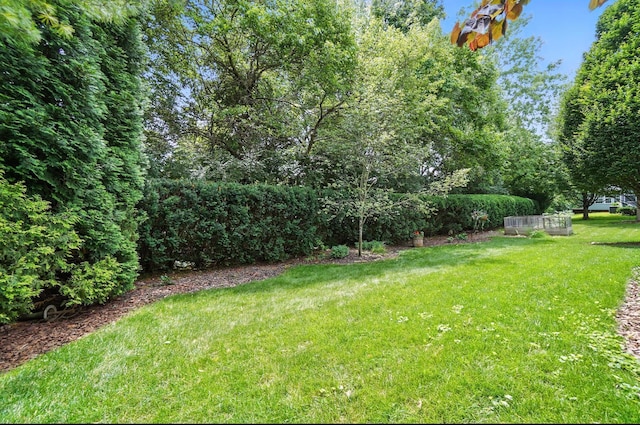 5781 Clearfield Ln, Dublin, OH 43016 - photo 46